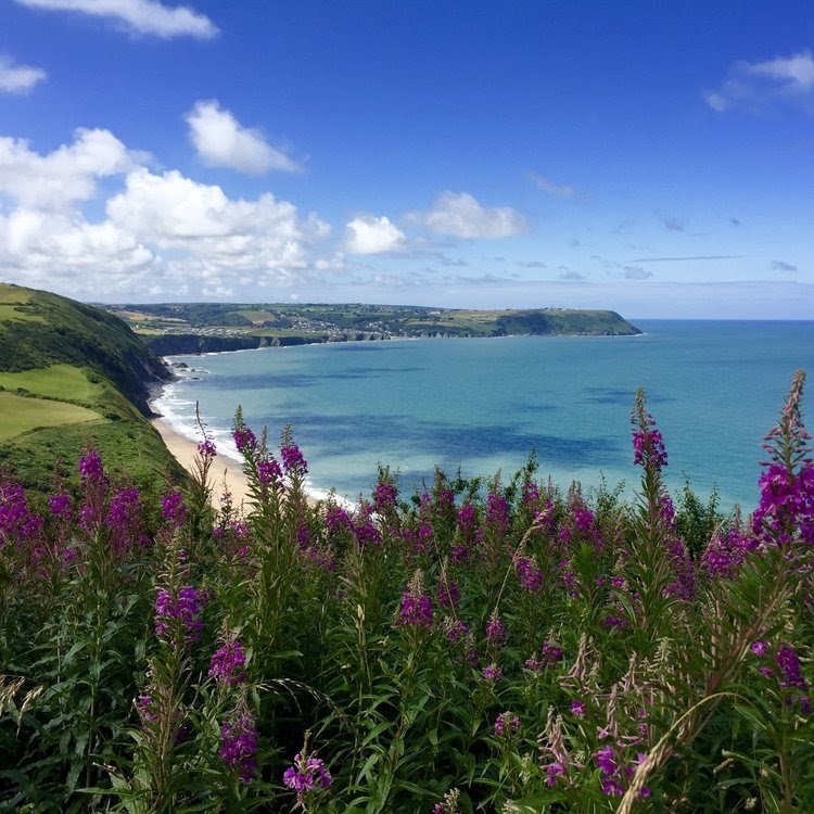 Top 4 Hidden Gem Venues For An Eco-Friendly Wedding In Wales 2 wedding in wales