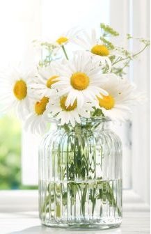 daisy bouquet
